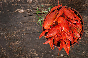 Lowcountry Cajun Festival