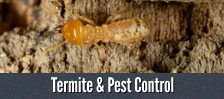 We Are Indiana and Kentucky's Pest Control Experts! - Learn More